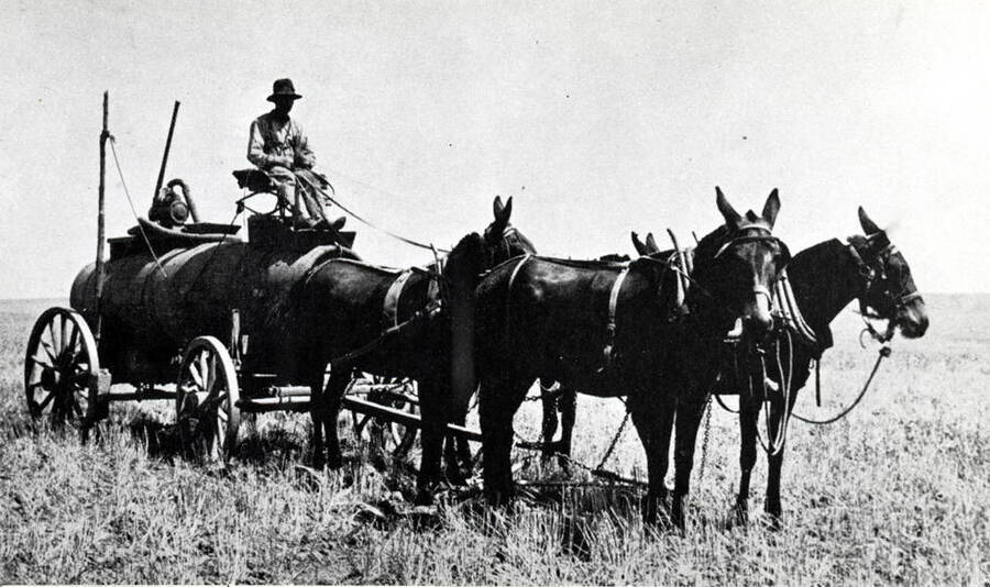 Four mules on a typical water wagon showing the man-powered water pump on the top of water tank. Water was usually pumped from creeks, springs or shallow wells in the nearby vicinity. Tall stick with the rope is attached to the wagon brakes so the driver can brake going down hill.