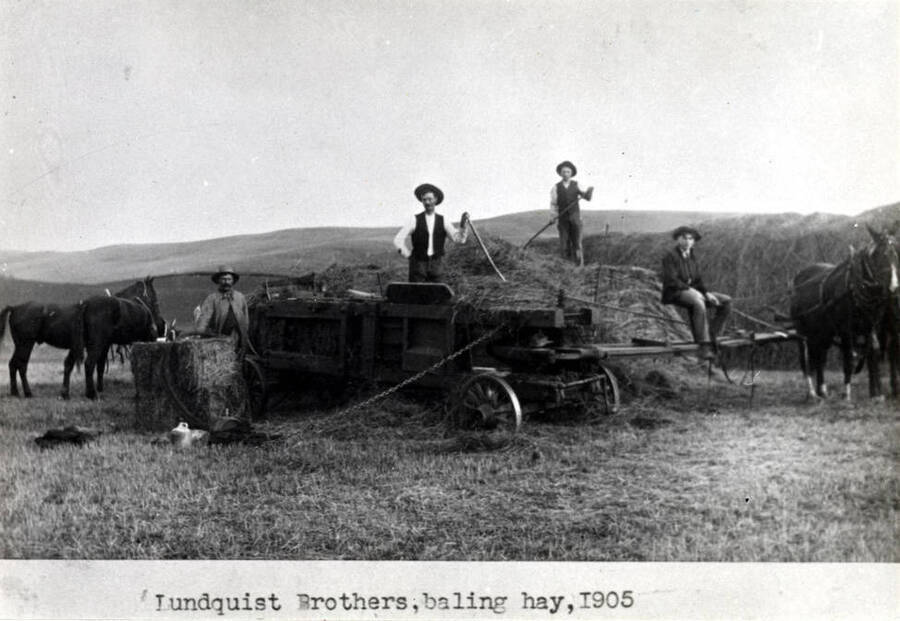 Lundquist brothers baling hay from the stack near Moscow in 1905. Believe this to be the same baler as above [90-6-049]. [Handwriting: John, Robert].