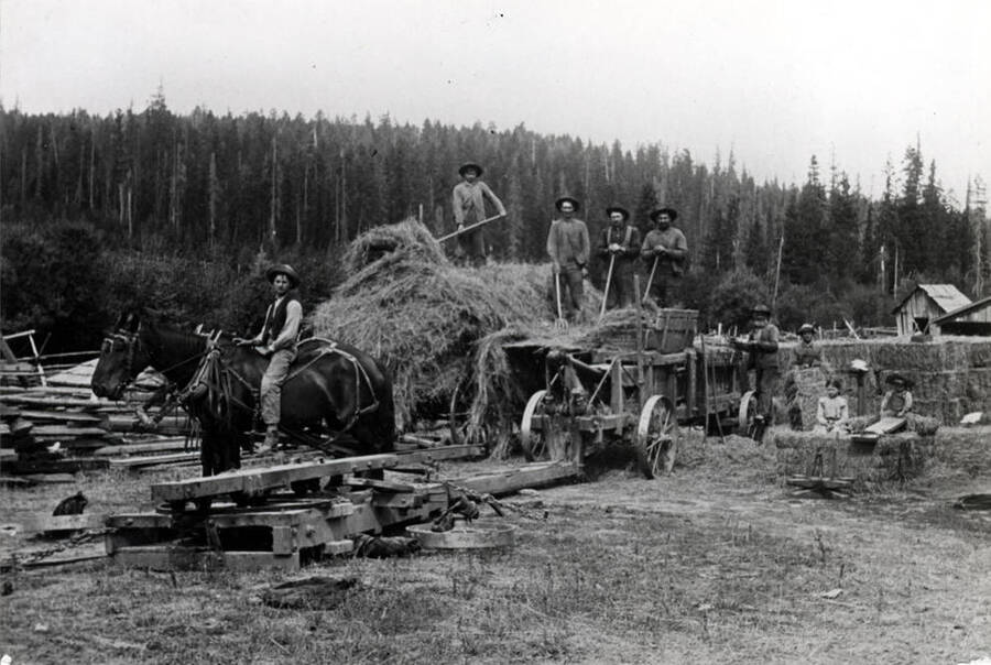 Byseggar family baling hay at their farm early 1900s about seven miles north of Potlatch east side of Highway 95. Ed Byseggar the little boy at right still lives at this location. Team of horses powering this baler makes a complete circle.