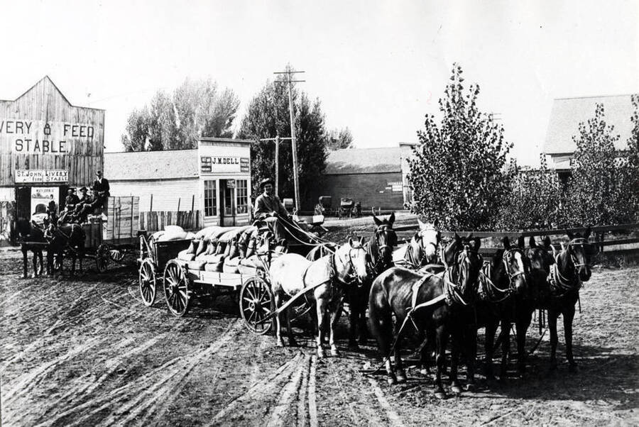 Eight horses, four abreast, pulling two loaded wagons of grain at St. John, Washington late 1900s or early 1920s.