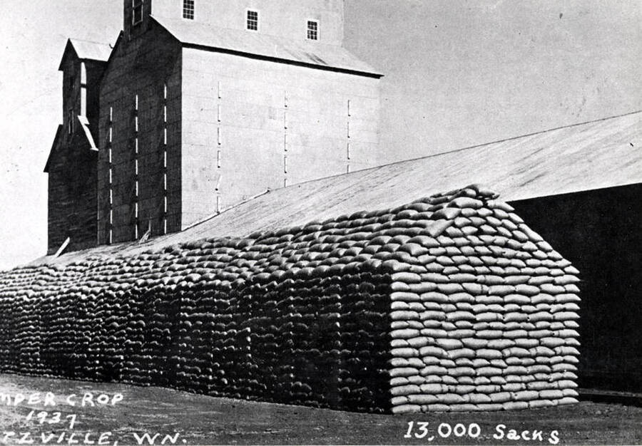 Bumper wheat crop of 1937 in the Ritzville, Washington area caused wheat to be piled outside. Later covered with tarps.