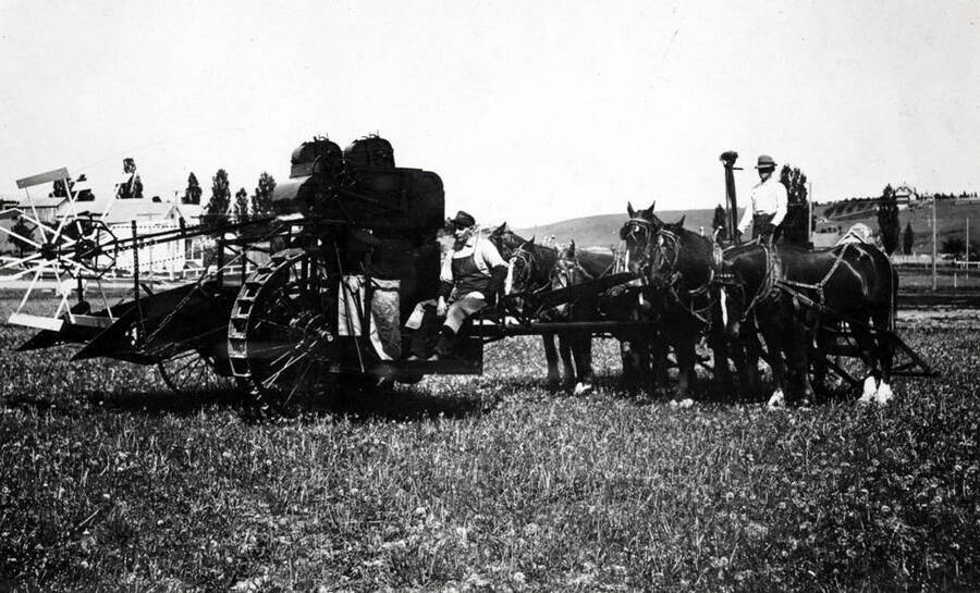 Production model of the Idaho National Harvester of 1911. East of the plant west of Main between D and E streets. North Main Street in background.
