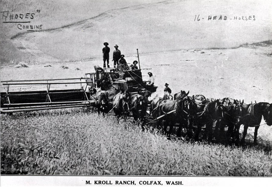 Rhodes combines harvesting wheat on the hills in the Colfax area. [These combines] had a manual leveler for going along hillsides and an automatic leveler [for] going up and down hills. Wording on photo: 'M. Kroll Ranch, Colfax, Wash.'