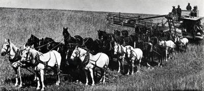 [photo of horse-driver combine harvester and caption]