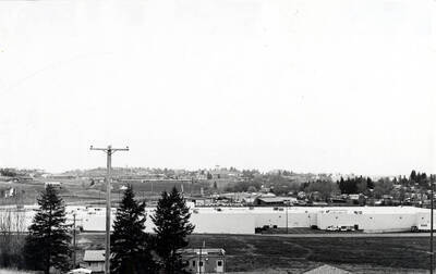 Looking west at the Skattaboe farm north of the Northern Pacific Railroad now occupied by mobile home dealership, Datsun dealership, mobile homes, Warehouse Foods, Ford dealership, Idaho National Bank, Blaine Street, First Security  Bank, shopping mall. Sunset Memorial Gardens vacant area at the northeast corner of property. Picture by Clifford M. Ott, May 2, 1979.
