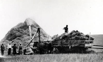 Washburn-Wilson Seed Company threshing outfit on the Summerfield (Suddreth) farm threshing bundled wheat. Frank Kennard and Clifford Ott of Washburn-Wilson Seed Company bought the above team of horses at Tekoa, Washington, and Ott rode one and led the other home about 1929.