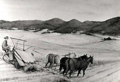 Copy of original water color by Cal Warnick. June 1987.