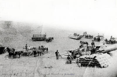 Horsepower threshing in the St. John area. Note only five teams on horsepower unit, showing drive shaft with universal joints to hand feed thresher. Header box outfit. Ethel K. Gosney picture from Roger Rossebo.