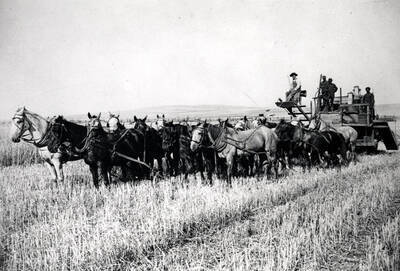 Charles P. Bryan near Albion 1915.