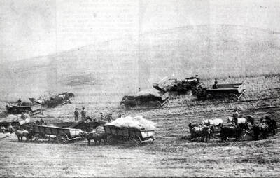 Photo of newspaper photo and caption Lewiston Tribune file photo Sunday April 10, 1988. Picture early 1900s. Caption: 'These farmers in the Colton-Uniontown area used some of the early threshing machines during harvest.'