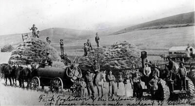 Frisk Foglestrom and Carlson outfit threshing stacked bundled grain on the Spencer place four miles northeast of Genesee. Cookhouse shows above engine at right in picture.