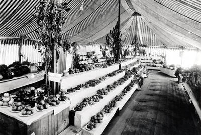 Inside Williamson's exhibit fair tent at the southeast corner of Fifth and Main streets.