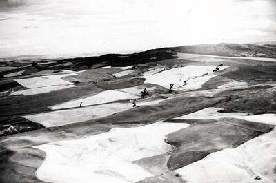 Looking east at area south of Moscow along Highway 95. No. 3 north boundary was two miles south of Sixth Street. No. 1, Highway 95, No. 2, John Peasley home, No. 3, John Ott home, No. 4 ,Zerr home and No. 5, William Hayton home. These were the names of the neighbors when the Otts move there in 1906. Picture 1938.
