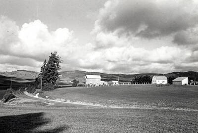John L. Naylor farmstead being farmed by a grandson. Picture by Clifford M. Ott, January 22, 1978.