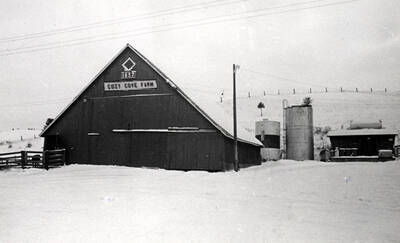 Cozy Cove farm built in 1897 by Charles J. Munson. Farm has had several owners and is now owned by Everett Olson. Picture by Clifford M. Ott, January 10, 1987.