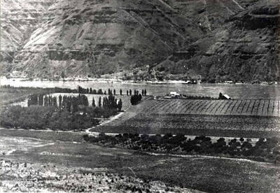 Part 4 shows old and new orchards.