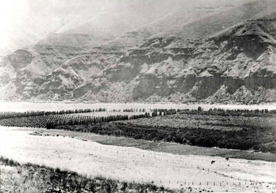 Part 5 shows more orchards.