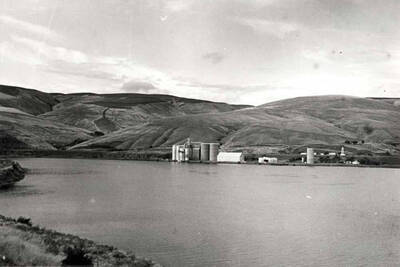 Looking north across the back water from Little Goose Dam at Almota September 17, 1978. Pictures by Clifford M. Ott.