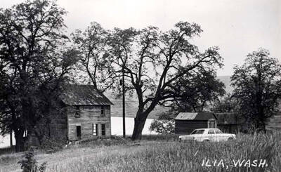 House and buildings and the school near were all that was left of Ilia, Washington, May 15, 1968, when the picture was taken by Clifford M. Ott. At one time there was a store post office and a large grain warehouse for storing sacked grain for loading on the boats.