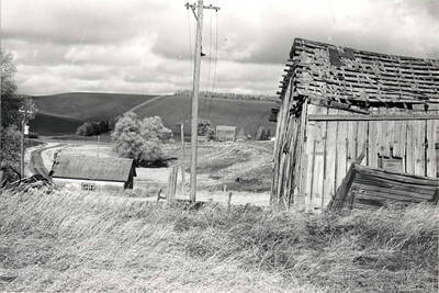 Looking north from the Clinton post office 0.3 mile to the South Palouse River Road. Leonard (Squire) Brown farm beyond. 1977.