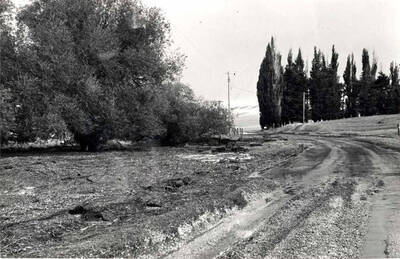 Close-up view of the hail and soil in the roadway and to the left. Charles Iverson farm, formerly the Bill Christenson farm.