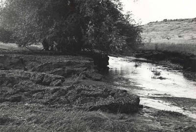 On the east side of the road showing the banks of hail and soil mixture after the water subsided. Across the road from Iverson's.