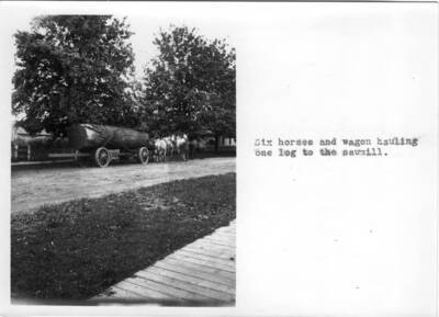 Six horses and wagon hauling one log to the sawmill.