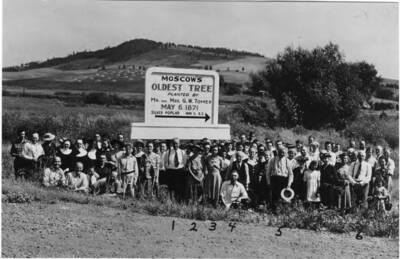 No. 6- On map. This marker located two-and-one-half miles east of South Main Street at the junction of Highway 8 and a north-south county road. Marker shows the location of Moscow's oldest tree planted by Mr. and Mrs. George W. Tomer May 6, 1871. No. 1- George M. Tomer (son of George W.), No. 2- Nellie Tomer Handlin (daughter of George M.) No. 3- (daughter of Nellis and Roy Handlin), No. 4- Roy Handling, No. 5- C.J. Munson, No. 6- Dr. C.J. Brosnan. Picture taken summer of 1937.
