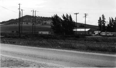 Marker in the top picture [90-0118] was donated and erected by the summer school class of Dr. C.J. Brosnan, department of American History, University of Idaho in 1937. Bottom picture [90-0119] taken June 25, 1976, shows the marker gone and nothing to show where the oldest tree was located.