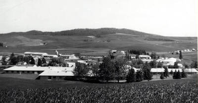 Looking southeast at the Latah Care Center showing the new wing at the left. Top picture [90-0153] taken with a 28 MM lens and bottom with a 2 1/4 X 2 1/4 camera with a wide angle attachment. By [Clifford M.] Ott June 11, 1982.