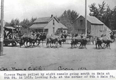 Pulled by eight camels going south on Main Street at Eighth Street in 1918. Looking northeast at the corner of Eighth and Main streets.