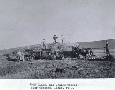 Near Genesee, Idaho. 1910.