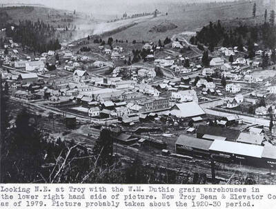 With the W.M. Duthie grain warehouses in the lower right-hand side of picture. Now Troy Bean and Elevator Company as of 1979. Picture probably taken about 1920-30 period.
