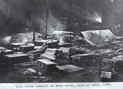 On Bear Creek, east of Troy, 1890.