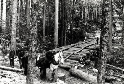 By M.L. Romig of Moscow, about 1910.