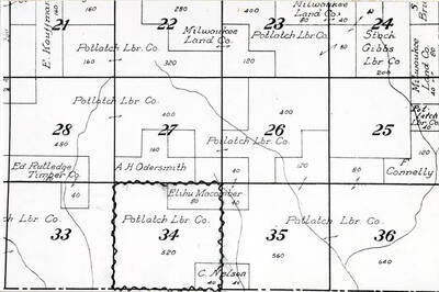 Copied from the Latah County map of 1914 [Latah County Atlas?] showing the owners of the sections of timber in the area where the large white pine trees grew.