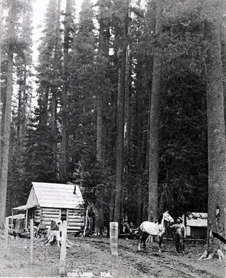 Two pictures of Collins, Idaho, located four miles north of Bovill. See maps on preceding pages [90-5-166 and 167] for exact location.