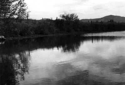 The 'Old Sandpit: located at the east end of D Street and about one block west of Eisenhower Street. Picture taken at water level by Clifford M. Ott July 13, 1977.