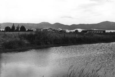 Showing the new homes built in 1977 north of Eisenhower Street. Moscow Mountains in the background. Picture by Clifford M. Ott July 13, 1977.