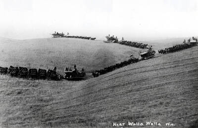 Five 33-horse combine outfits, owned and operated on the Drumheller brothers ranch located on Dry Gulch Creek, Walla Walla County, Washington. These five 'Oregon Specialists' combines were built by the Hold Manufacturing Company of Stockton, California in 1904. [Handwriting: From Floyd Trail].