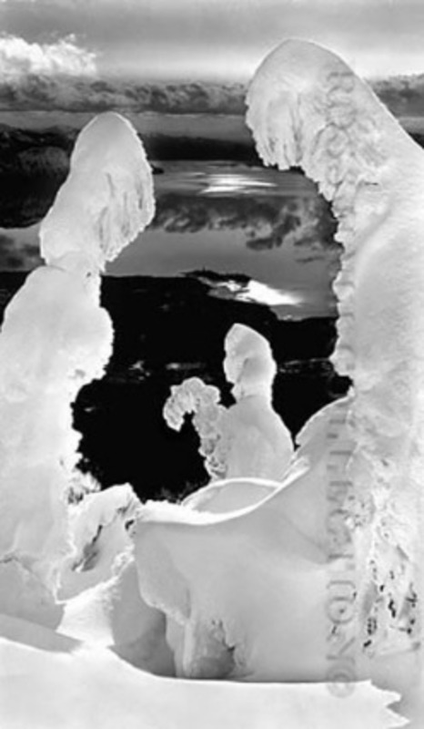 This is a famous photograph taken by Ross Hall.