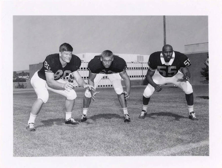 University of Idaho's defensive ends John Knowles (80), an unidentified player, and Joe Tasby (55) crouching on the football field for the photo.