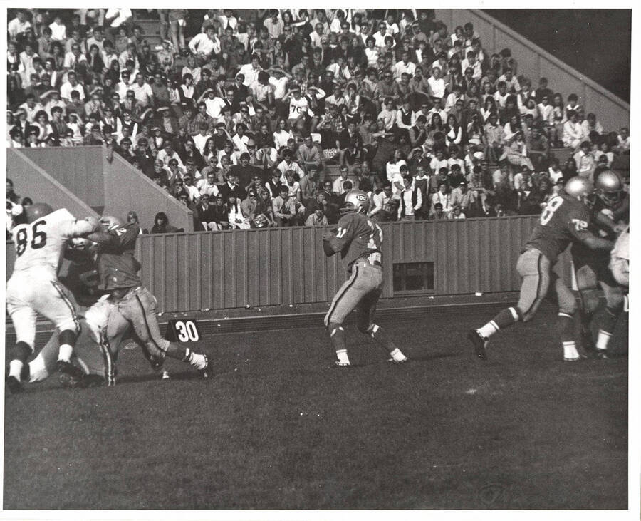 Steve Olson (#11) getting ready to pass the ball during a football game for the University of Idaho.