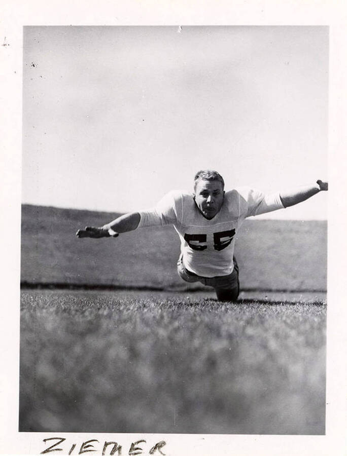 Action shot of Bob Ziemer, a tackle for the University of Idaho football team.