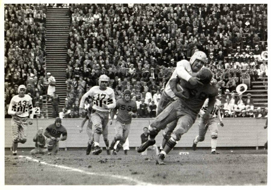 An action shot of the homecoming football game between the University of Idaho (7) and Oregon State (6) with an audience that filled the stands.