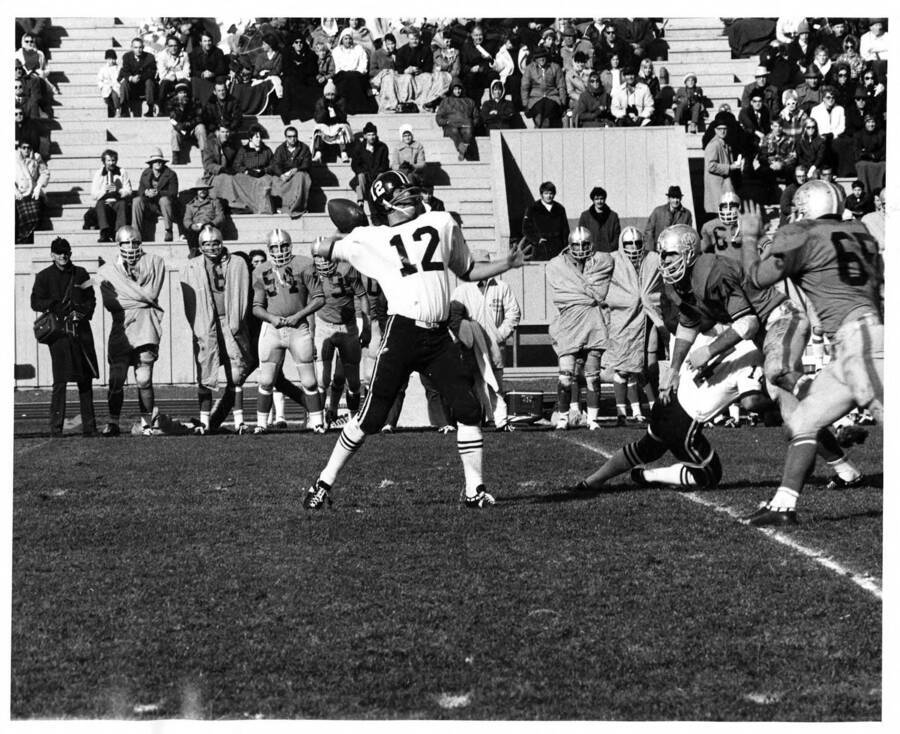 Number 12 form the University of Idaho throws the football as opposing players run to tackle him during a football game.