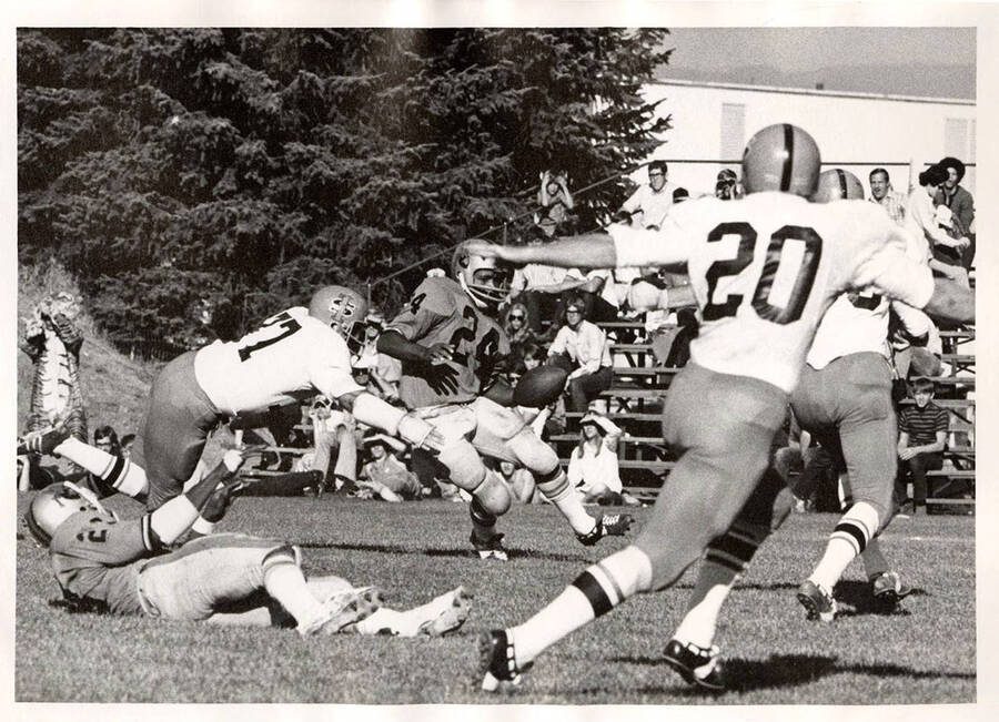 A player for the University of Idaho evades the tackle of the Idaho State Bengals as their mascot cheers them on.