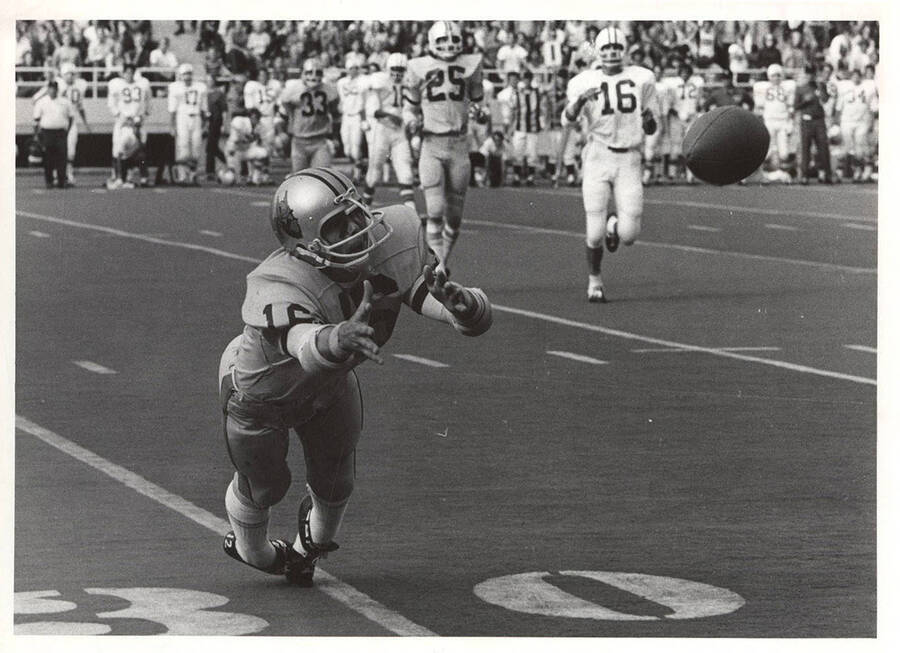 A Vandal football player reaches for the ball thrown to him at the 30 yard line as the opponents jog behind.