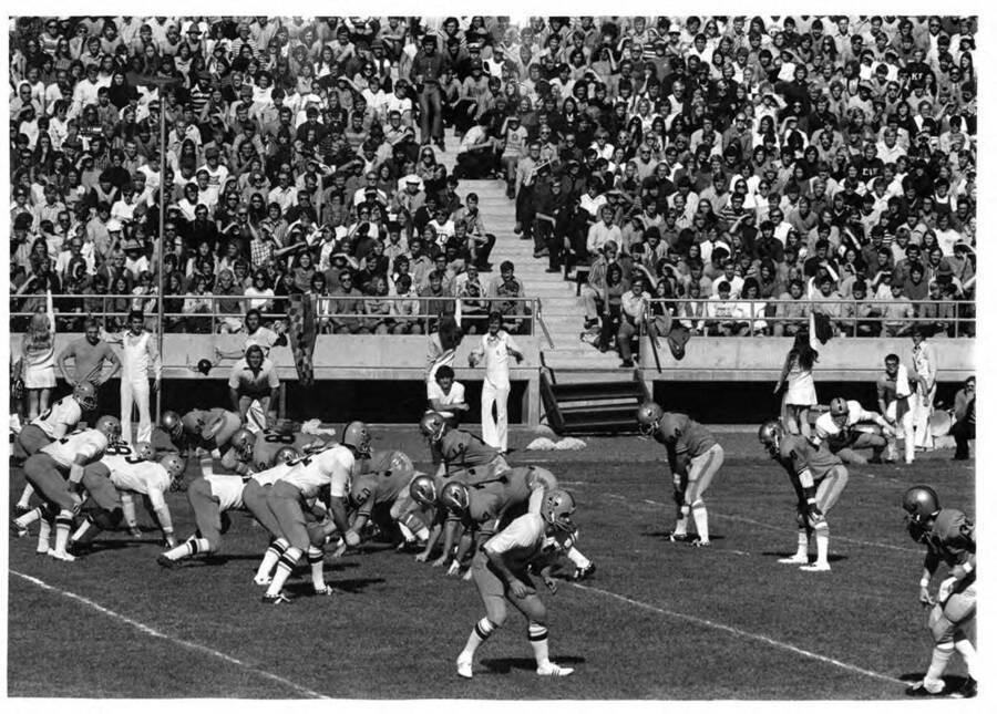 Football players prepare for the snap of the ball in their lineup while cheerleaders entertain as a crowded audience watches on.