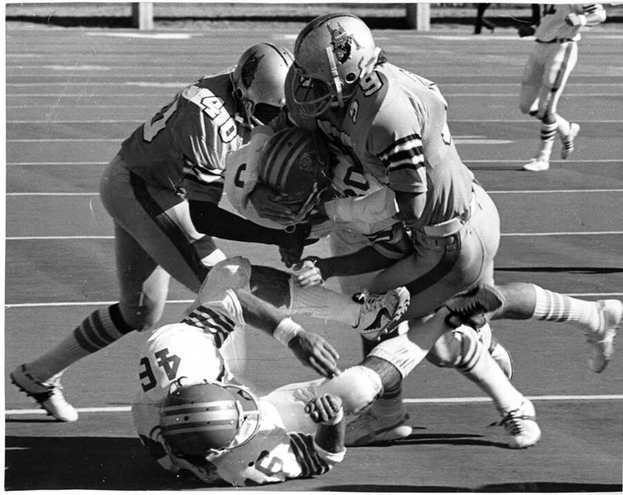 Two Vandals take down opposing players in a tackle during a University of Idaho football game.